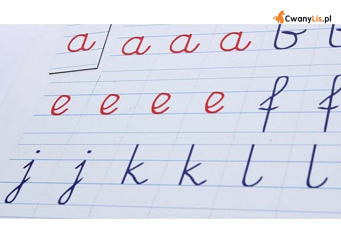 Alfabet magnetyczny MONTESSORI -literki pisane, Komplet pomocny w nauce pisania oraz czytania