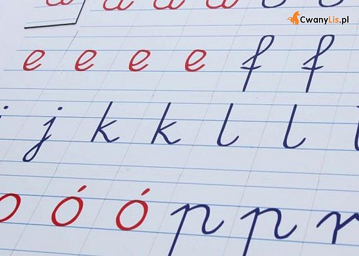 Alfabet magnetyczny MONTESSORI -literki pisane, Komplet pomocny w nauce pisania oraz czytania
