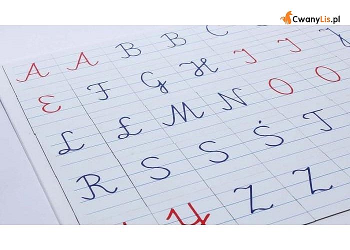 Alfabet magnetyczny MONTESSORI -literki pisane, Komplet pomocny w nauce pisania oraz czytania