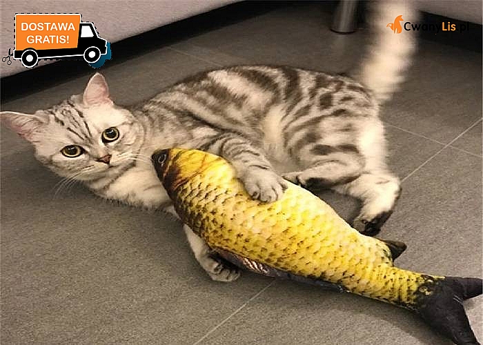 Poduszka w kształcie ryby to  świetna zabawka dla kota