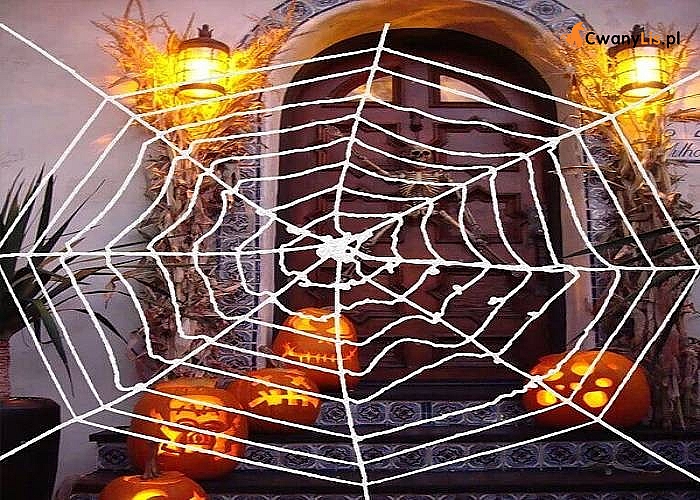 Pleciona pajęczyna dekoracyjna na Halloween
